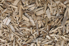 biomass boilers Burlinch