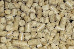 Burlinch biomass boiler costs