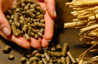 free Burlinch biomass boiler quotes