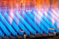 Burlinch gas fired boilers